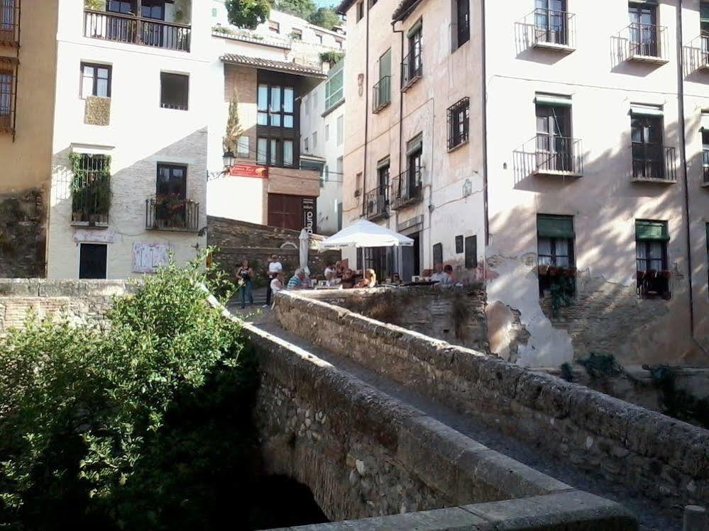 Rosa De Oro Granada